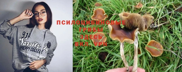 метадон Беломорск