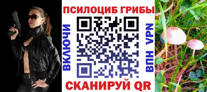 купить наркотики сайты  Щёлкино  Галлюциногенные грибы Psilocybine cubensis 
